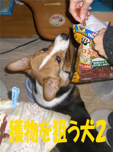 �M�������Q